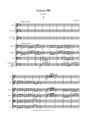 Sinfonia No.8 in G major, 1 mov. (full orchestra)